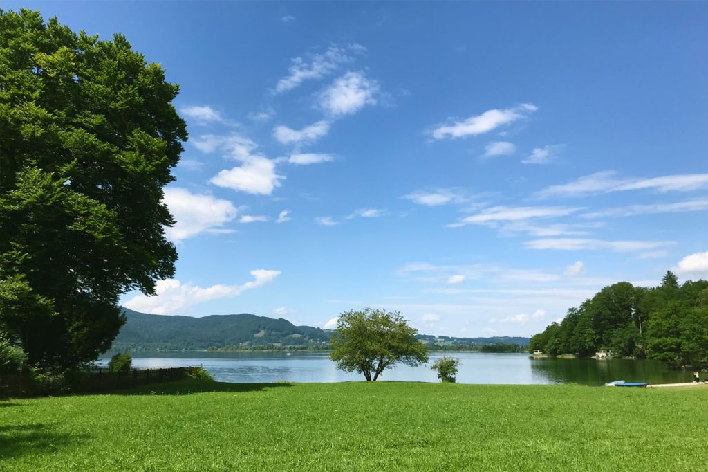 Ufer des Kochelsees